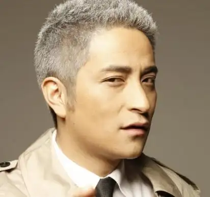 适合白发多的发型男