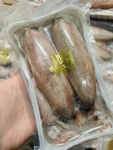 舟山海鲜带膏母鱿鱼 只只带饭