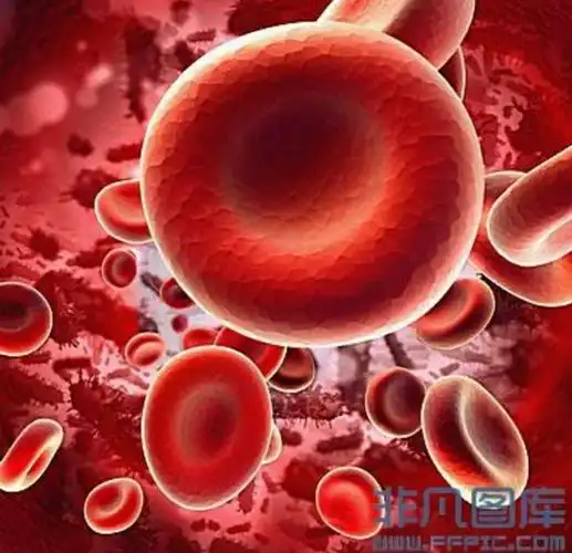 《细胞世界的故事》五 (原创) - 美篇