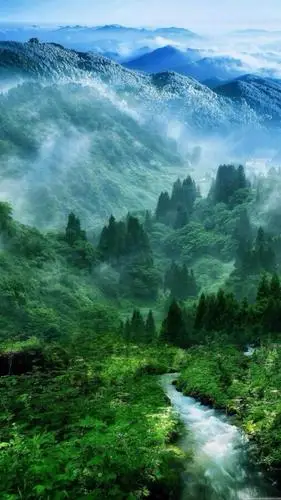 一看就舒心的图片,风景-手机壁纸