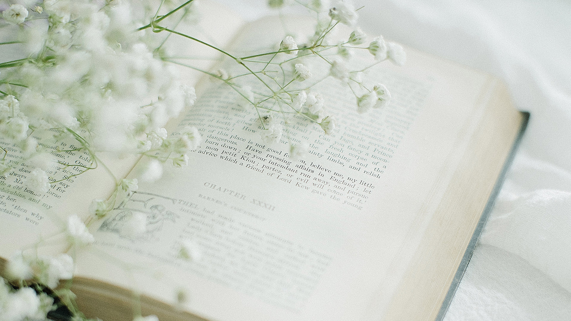 室内唯美静物高清图片桌面壁纸