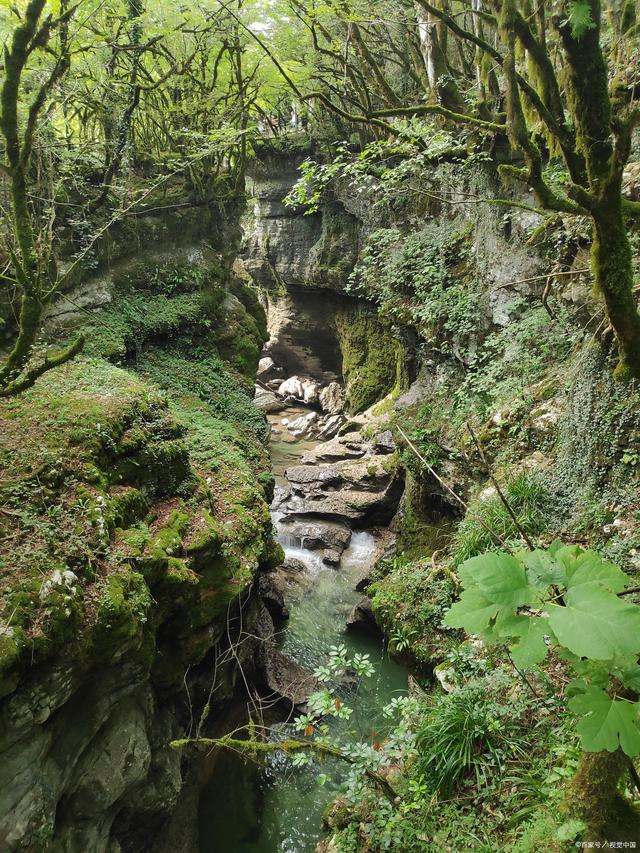 大家好,今天我要给大家介绍一个超级震撼的旅游景点——賨人谷!