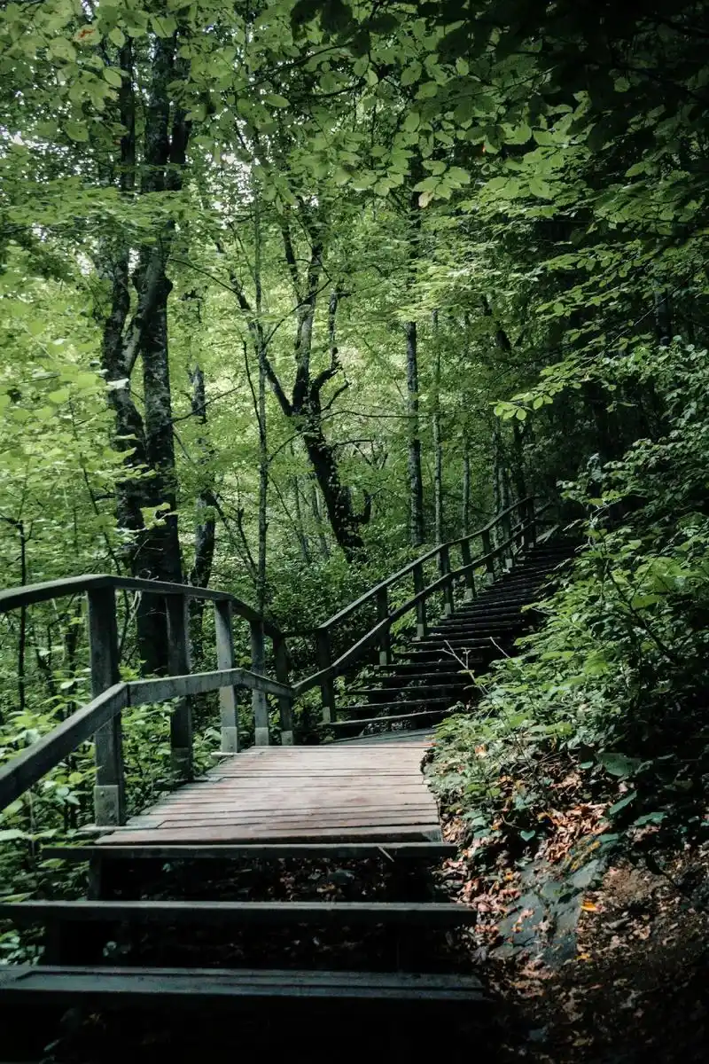 大自然清新空气,眼前一亮.#美景分享 #感恩相遇 #唯美风景 - 抖音