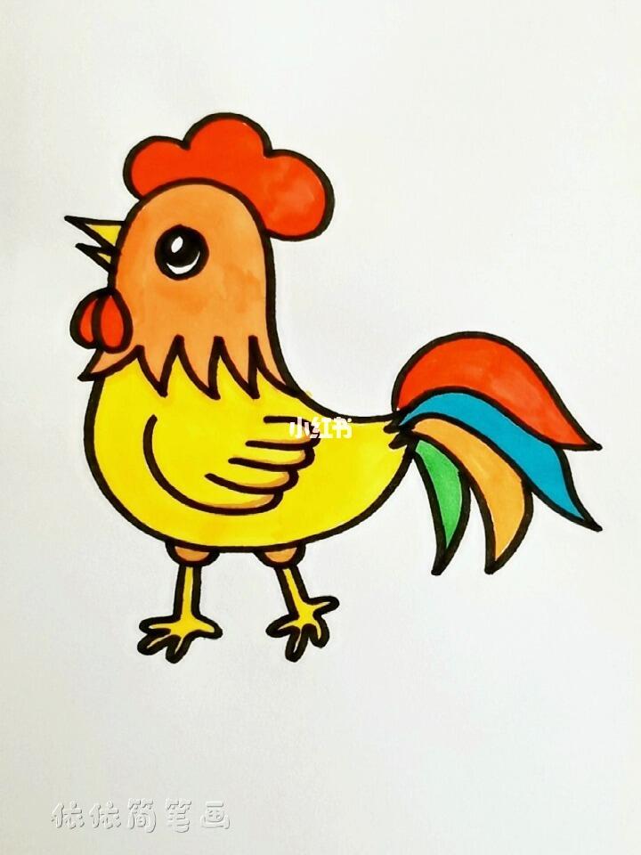 大公鸡简笔画来喽