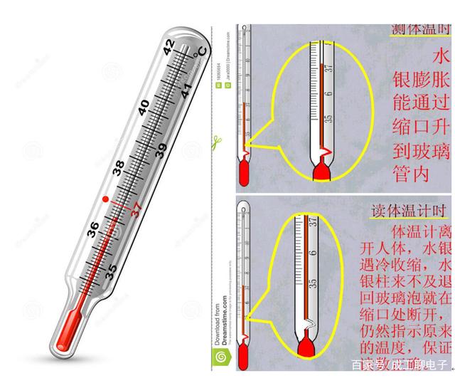 水银玻璃体温计