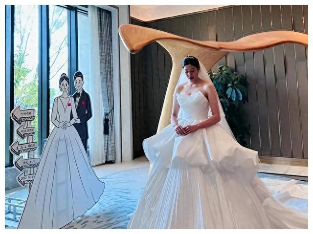 安家杰|张常宁|中国女排_新浪新闻