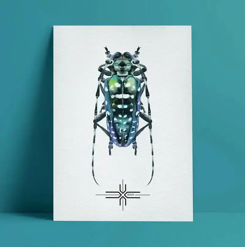 原创昆虫手绘作品#甲虫 #视觉艺术 #原创绘画 #插画 - 抖音