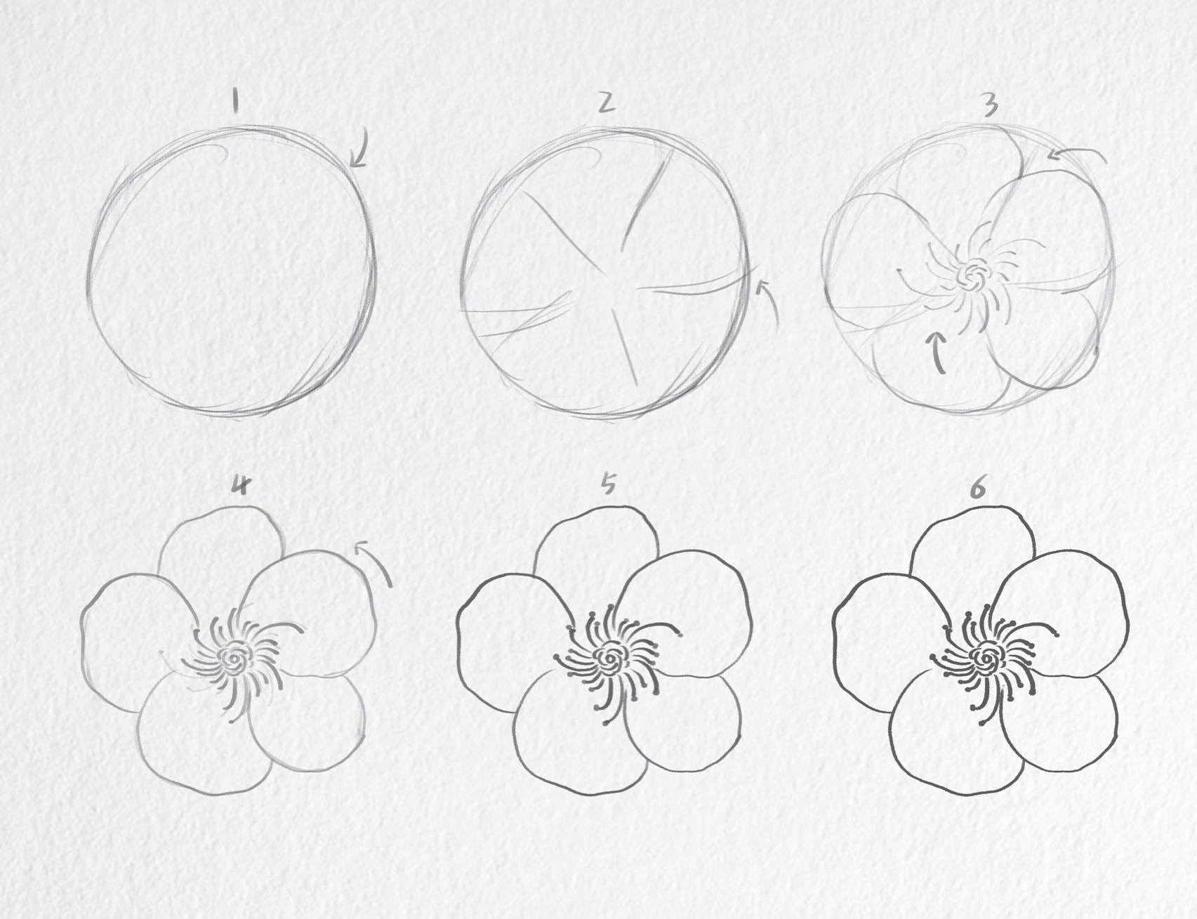小白都不想看的吧|简笔画教程•梅花| 一树寒梅白玉条,迥临村路傍溪