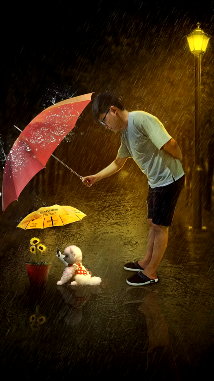 下雨天?有人为你撑伞吗?