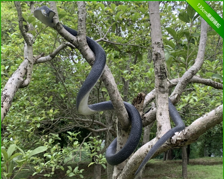 大号仿真蛇加长软胶吓人塑胶玩具蛇园艺花草装饰造景假蛇黑色软胶蟒蛇