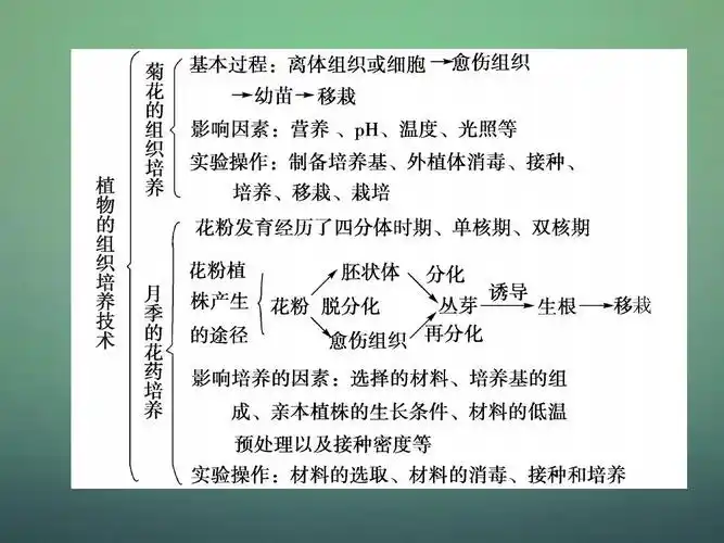 2015-2016高中生物 专题3 植物的组织培养技术专题整合归纳课件 新