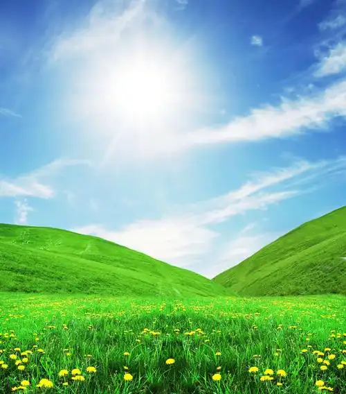 阳光照耀的绿色山谷高清图片