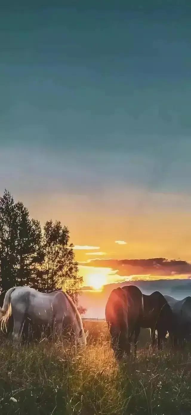 风景壁纸|好山好水好风光,景色悦人,让你尽情地拥抱大自然