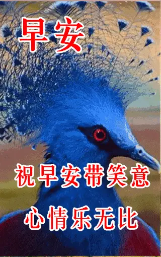 10月30日最漂亮早上好动态表情图片大全早晨好动图美图大全