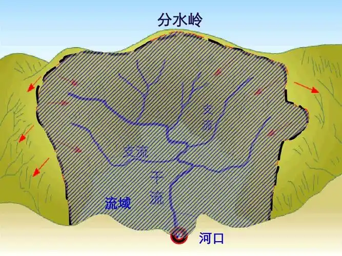 分水岭 支 流 支流 流域 干 流 河口