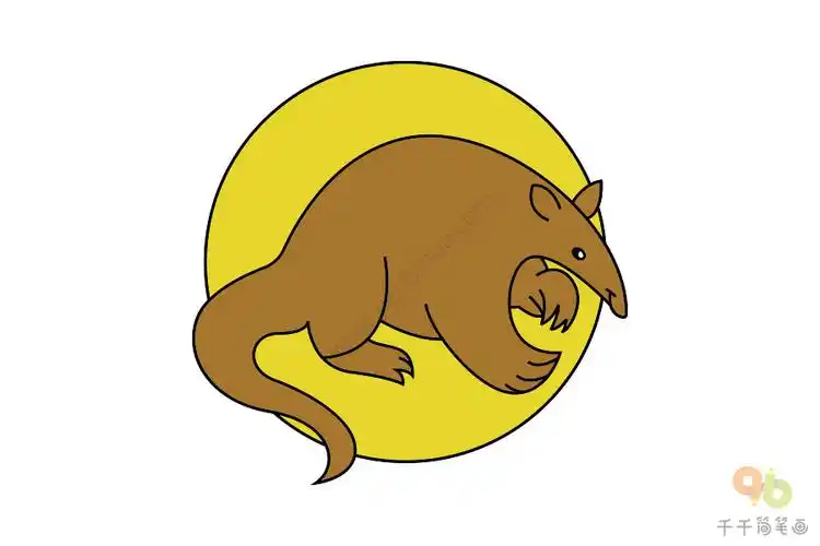 食蚁兽简笔画