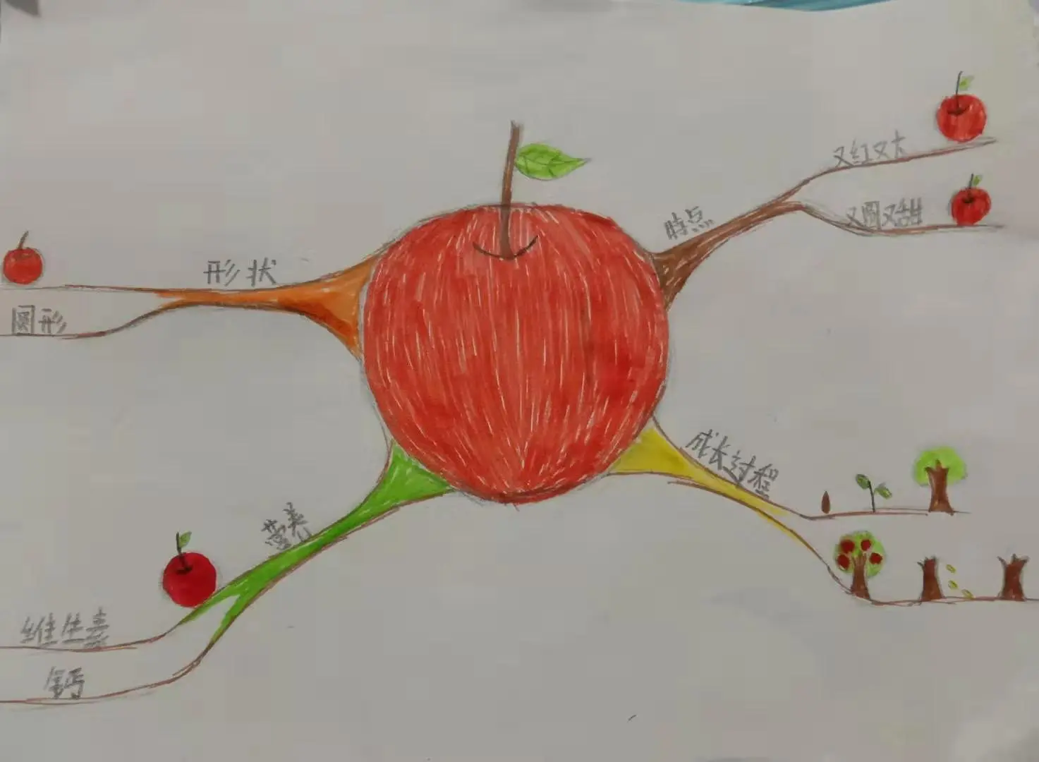 思维导图作业点评第一期