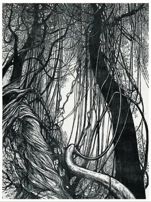 黑白木刻经典这些是我见过最美的树