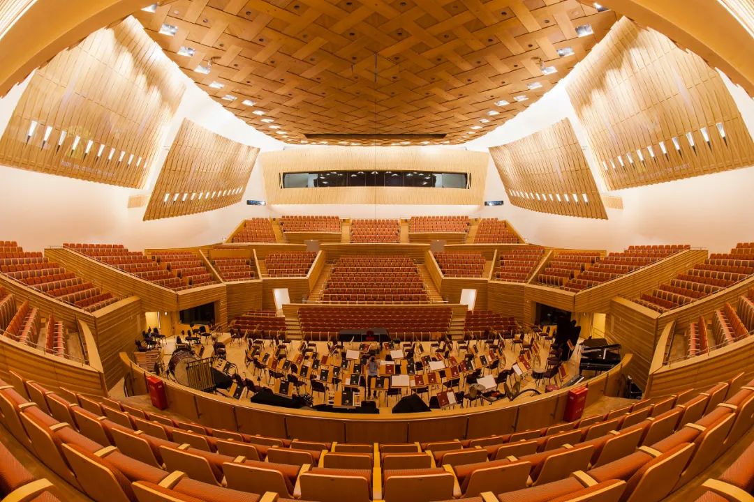 十年我们都变成了更好的自己辰山草地广播音乐节与上海交响乐团的十年