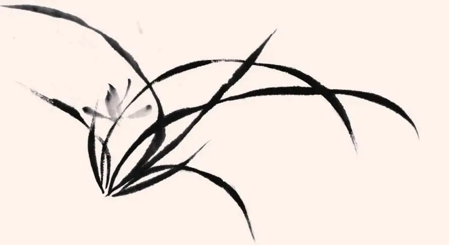 图文教程轻松学画三幅写意兰花小品