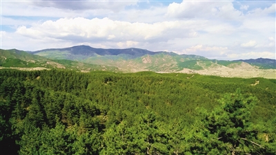 大青山前坡"生态绿带":满目葱茏育生机_新浪财经_新浪网