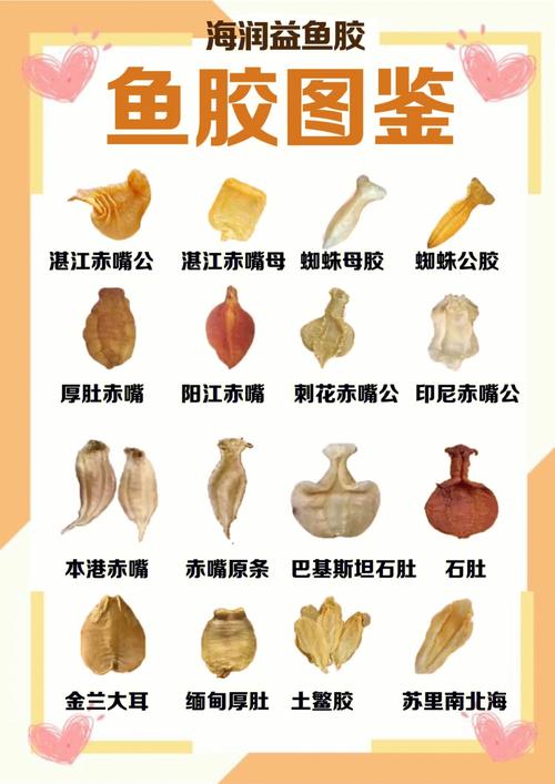 鳕鱼胶,黄花胶和北海胶系列,想要做甜品就选蝴蝶胶赤嘴鱼胶具有大补