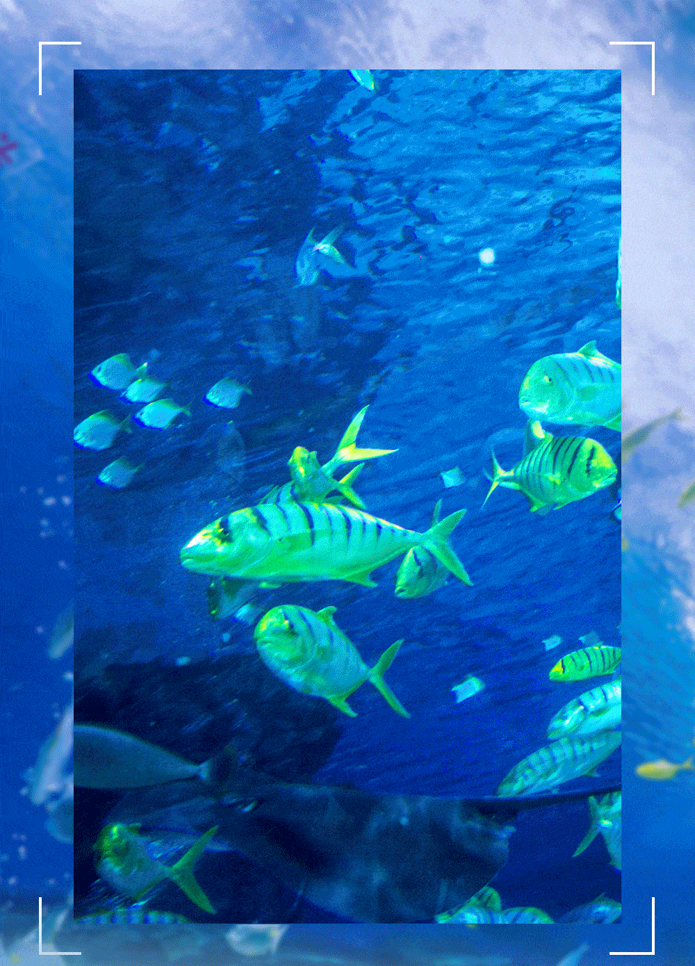 1000_1390竖版 竖屏gif 动态图 动图