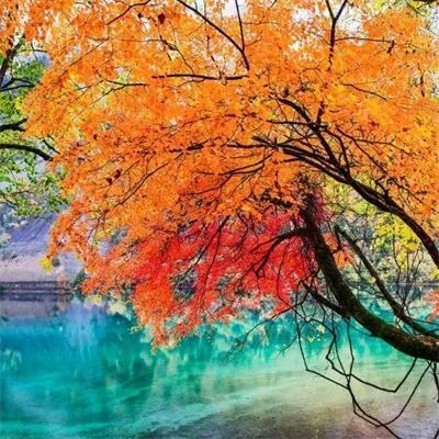 让人一看就舒心的微信风景头像 超好看的唯美景色高清头像图片 - 腾讯