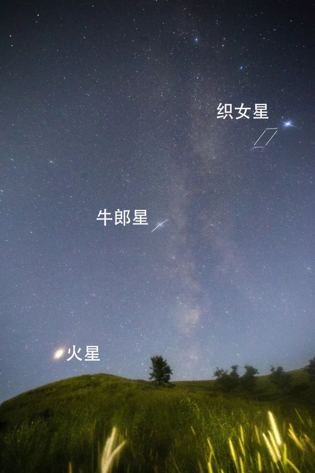 七夕之夜 台湾杨昌炽老师与淄博天爱一起学认牛郎织女星