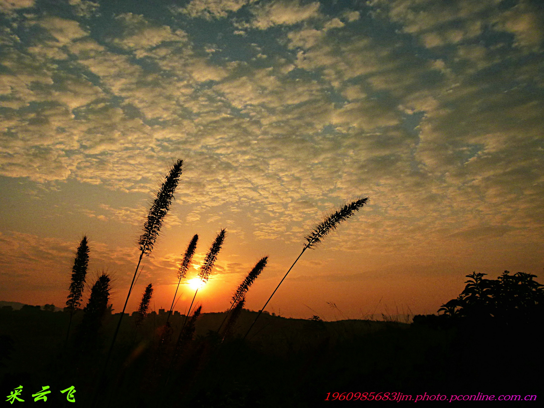 乡村日出 第 1 幅
