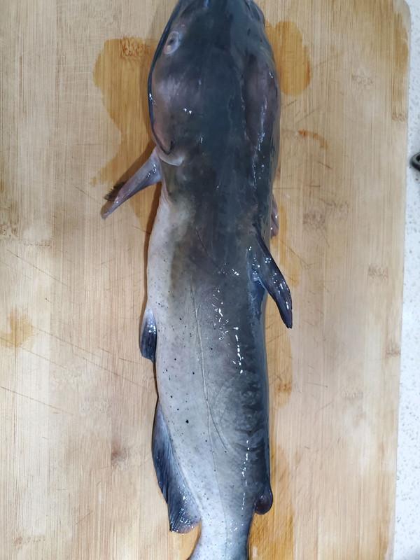 清炖清江鱼,一人吃掉两碗饭(1/6)