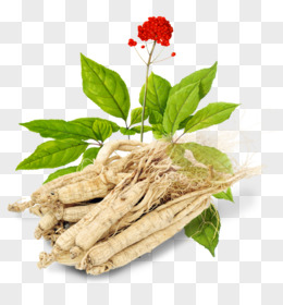 胶囊png中草药矢量图pngai手绘插画古代医师采摘草药场景元素pngpsd