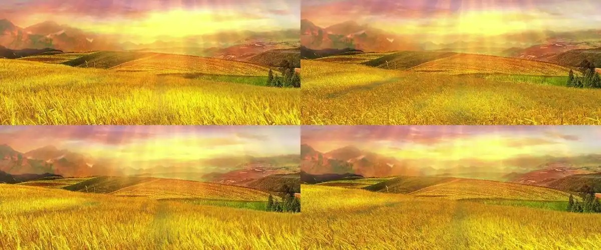 麦田田野舞台背景