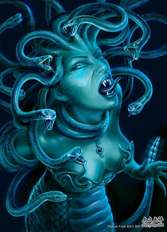 蛇-花瓣网|陪你做生活的设计师 | 蛇女的搜索结果_百度图片搜索
