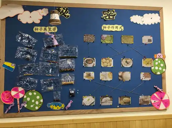 柠檬湾福城幼稚园太阳二班6月份主题——《种子的秘密》
