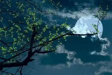 一页素笺落寞了谁的半面清颜伤感美文欣赏