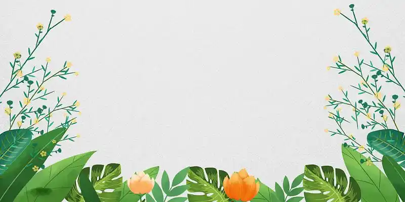 绿色植物底纹简约小清新文艺家长会说课开学卡通边框展板背景