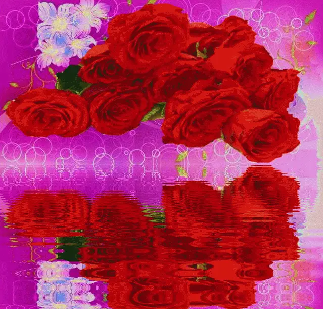 绝美动态玫瑰倒影花册太绝美了