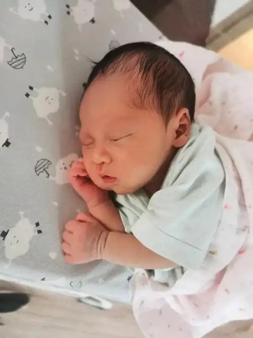 出生三天可爱的兔宝宝帅哥. - 抖音