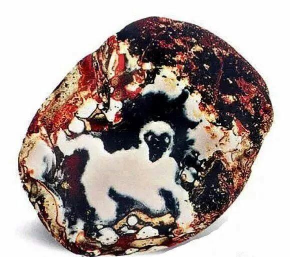 色彩很艳丽……而最重要的是石头上面竟然有一个天然形成的动物图案