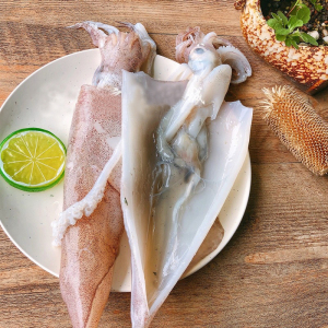 活鱿鱼鲜活图片