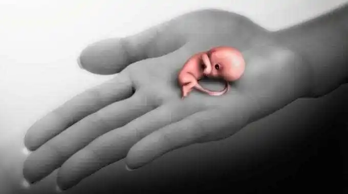 怀孕12周人流图片-图片大观-奇异网