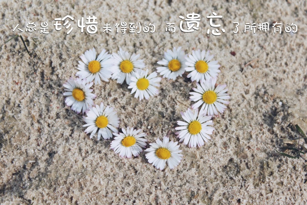 心形带字图片,主流,心形,带字,图片,标签:带文字非主流心形特别声明