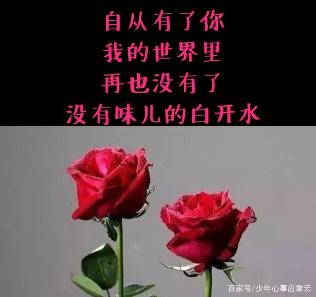 情人节,那些送给情人最暖心的情话