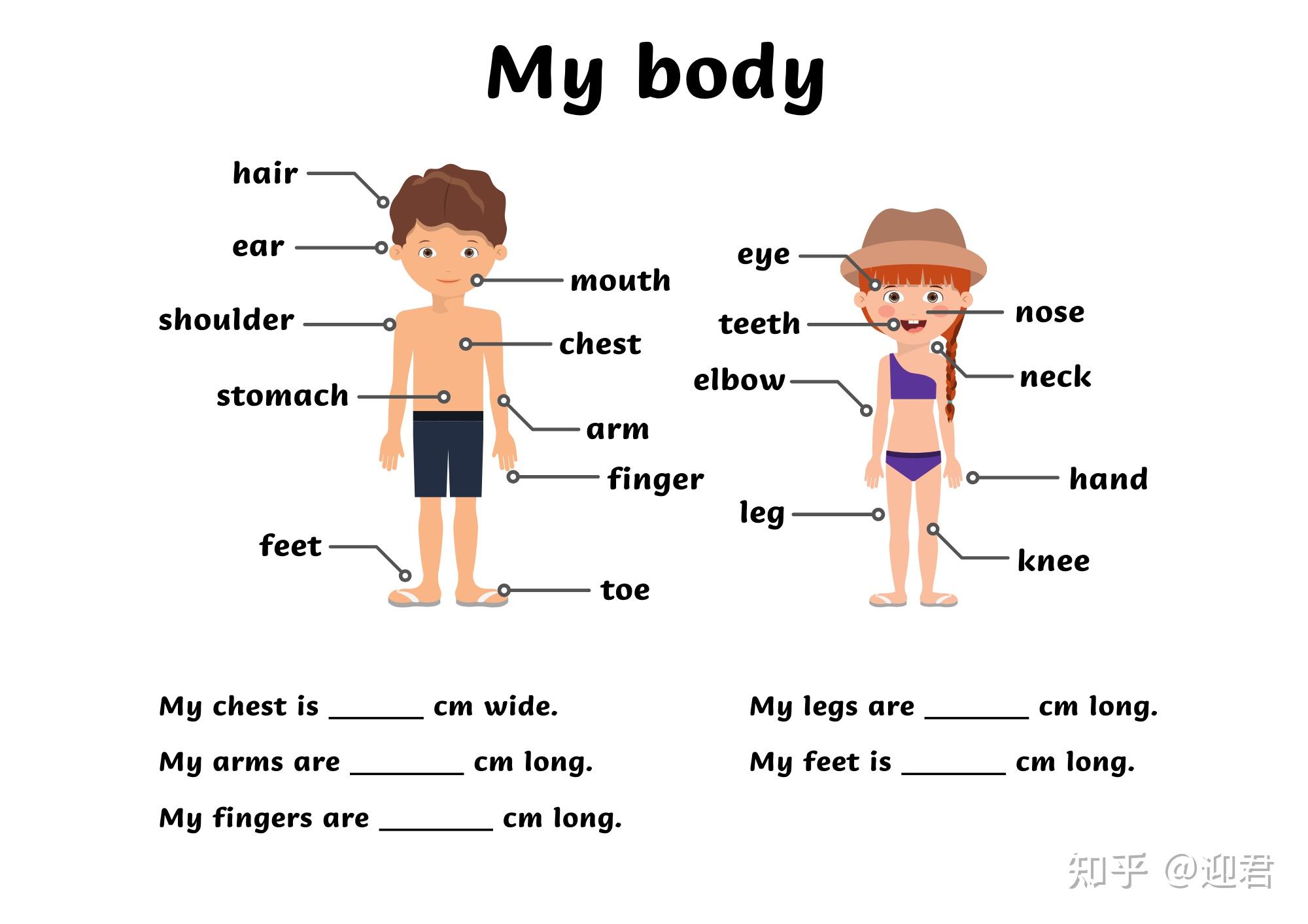 亲子英语课堂不想错过孩子成长只需一份身体记录表就可记下孩子的点滴