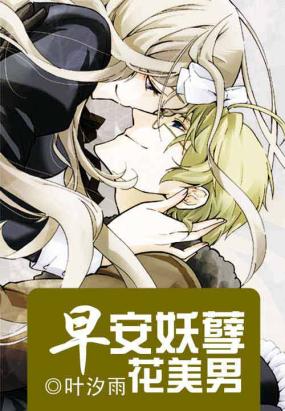 早安四大花美男的介绍