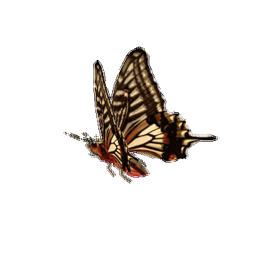 400_400gif 动态图 动图