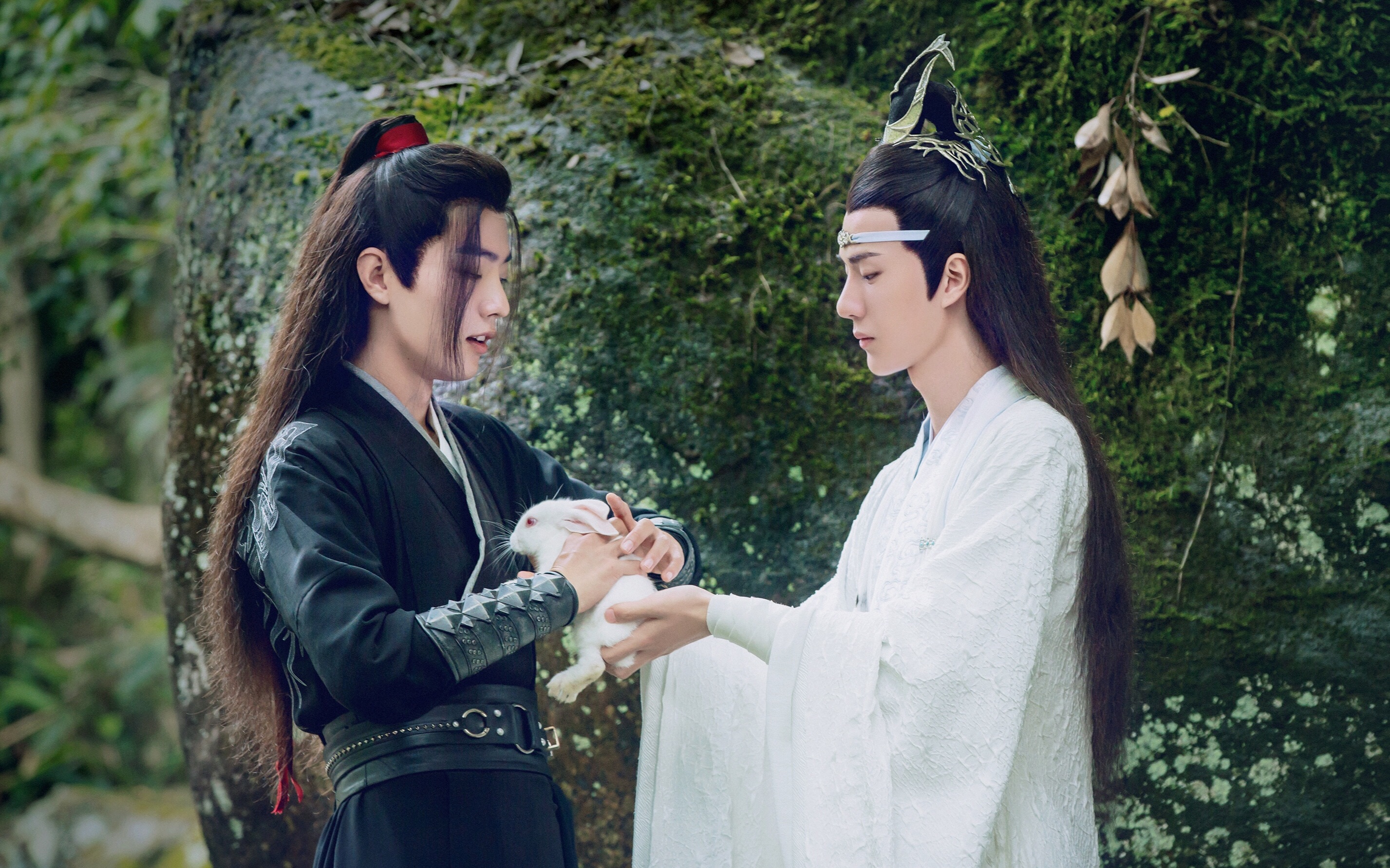 【陈情令|得友】魏无羡×蓝忘机 怎能当梦一场_哔