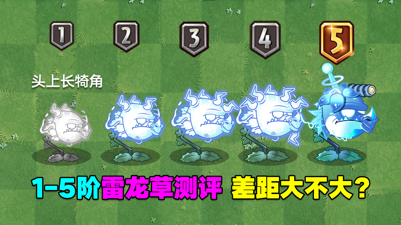 植物大战僵尸:1-5阶雷龙草测评!差距大不大?