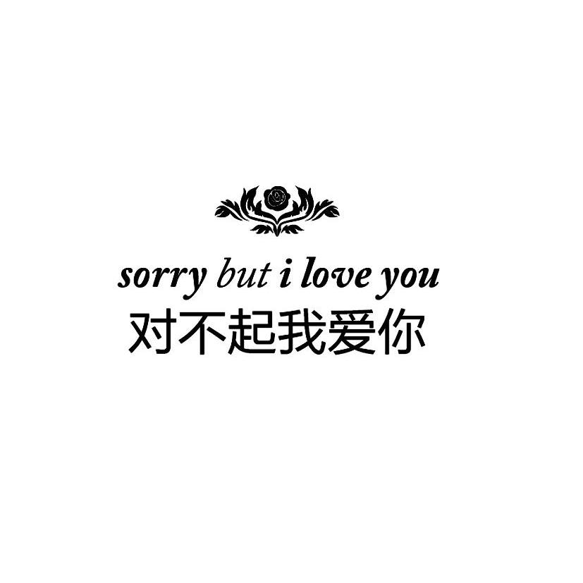 商标名称对不起我爱你 sorry but i love you商标注册号 12266174